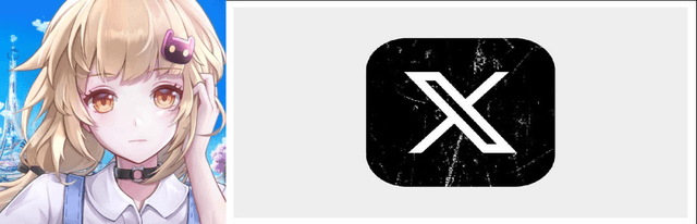 公式X