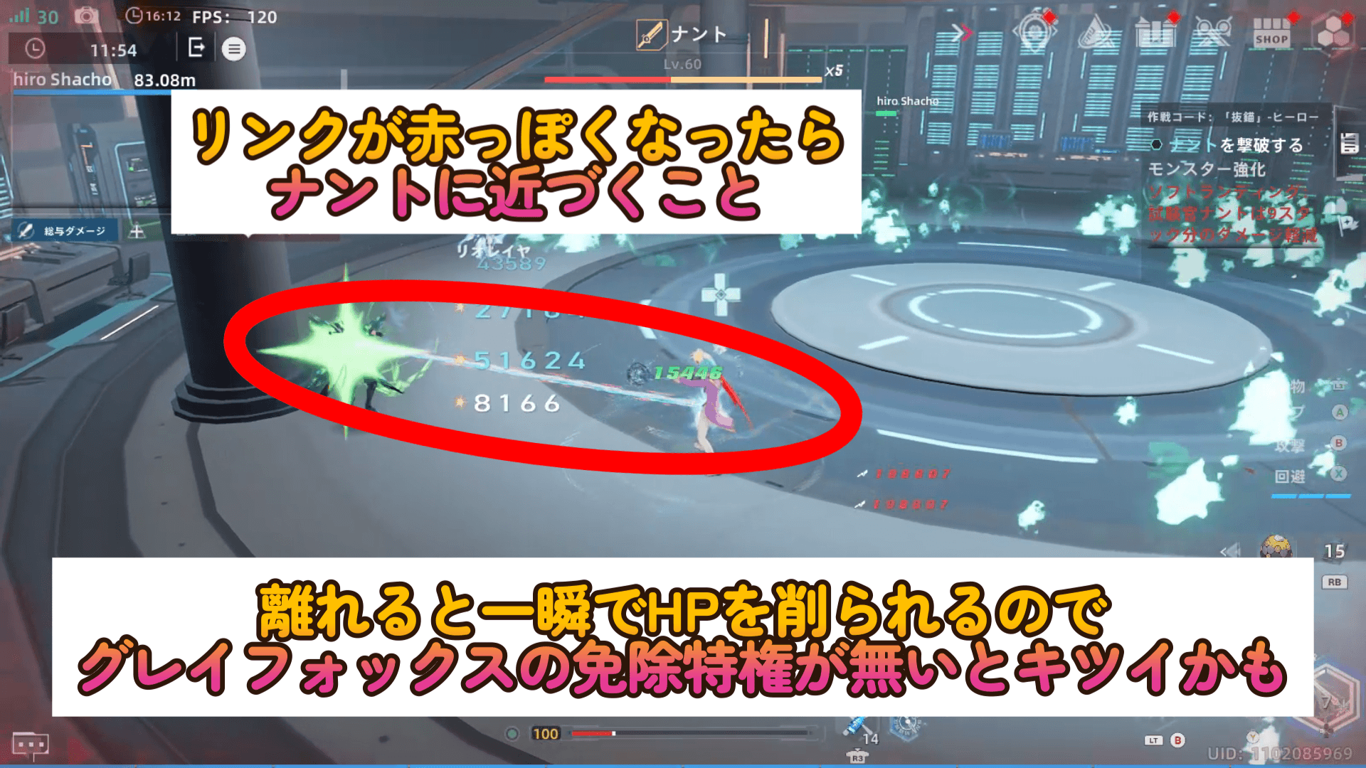 ナントから離れるとリンクが赤くなって大ダメージ